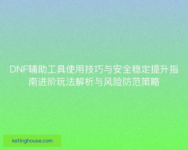 DNF辅助工具使用技巧与安全稳定提升指南进阶玩法解析与风险防范策略