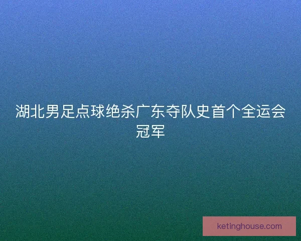 湖北男足点球绝杀广东夺队史首个全运会冠军