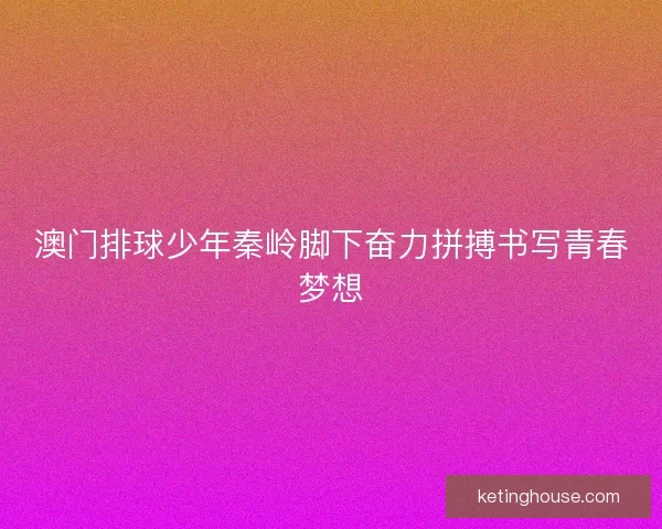 澳门排球少年秦岭脚下奋力拼搏书写青春梦想
